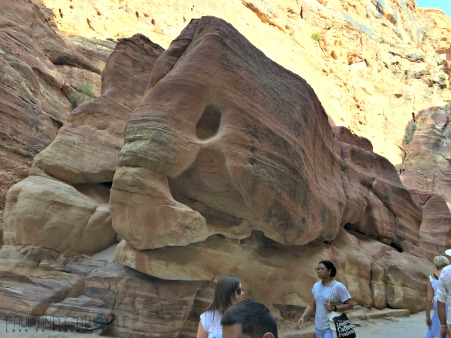 Visiting Petra Jordan,A fish shape carved into the sandstone by years of water erosion. #petra #wondersoftheworld #roseredcity #jordan #visitingpetra #paulandcarole