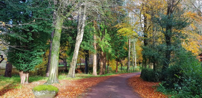 Forest Of Dean Whitemead Forest Park Motorhome Paul and Carole