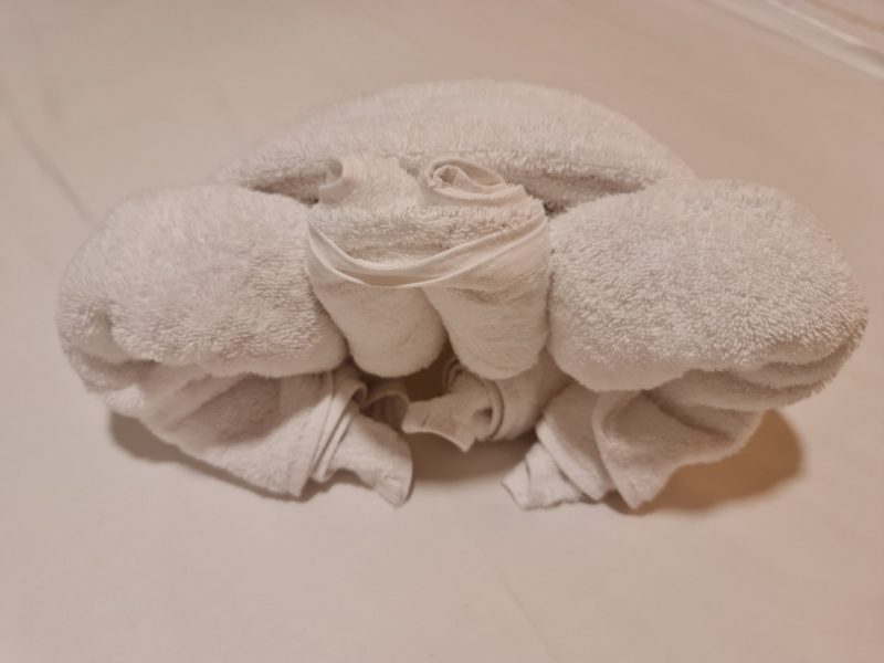 Towel Tortoise Anthem of the Seas balcony cabin royal Caribbean cruises