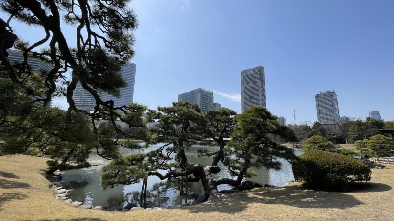 Hama Tokyo gardens