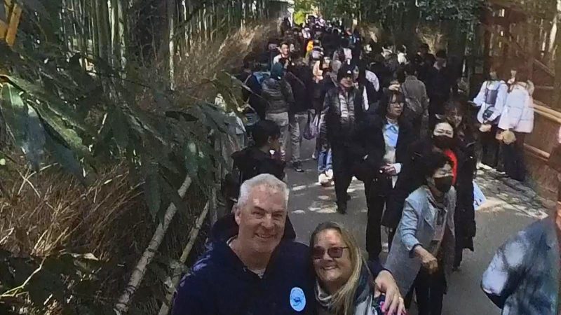 Bamboo forest us